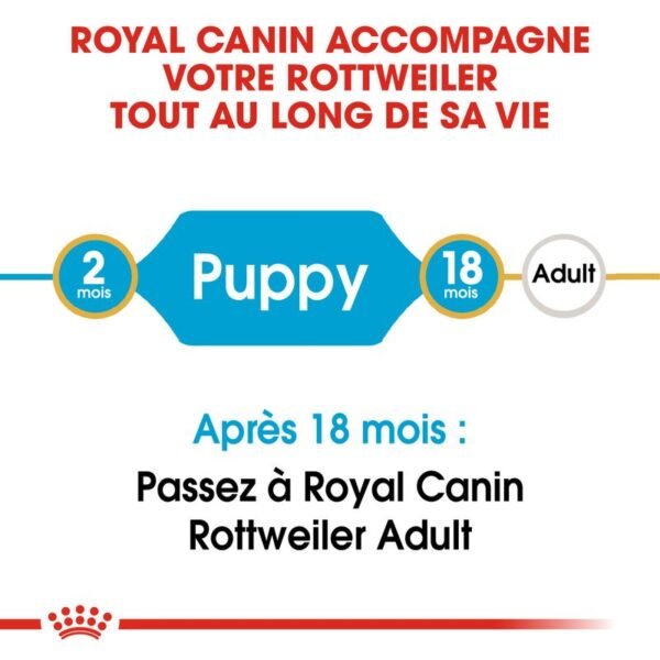 Royal Canin Rottweiler Puppy pour chiot - Image 8