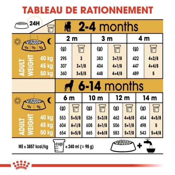 Royal Canin Rottweiler Puppy pour chiot - Image 7