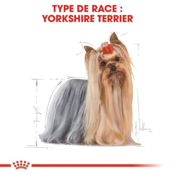 Royal Canin Yorkshire Terrier Adult pour chien - Image 6