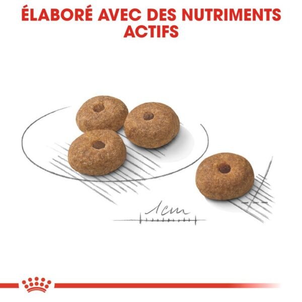 Royal Canin Mini Sterilised pour chien - Image 3