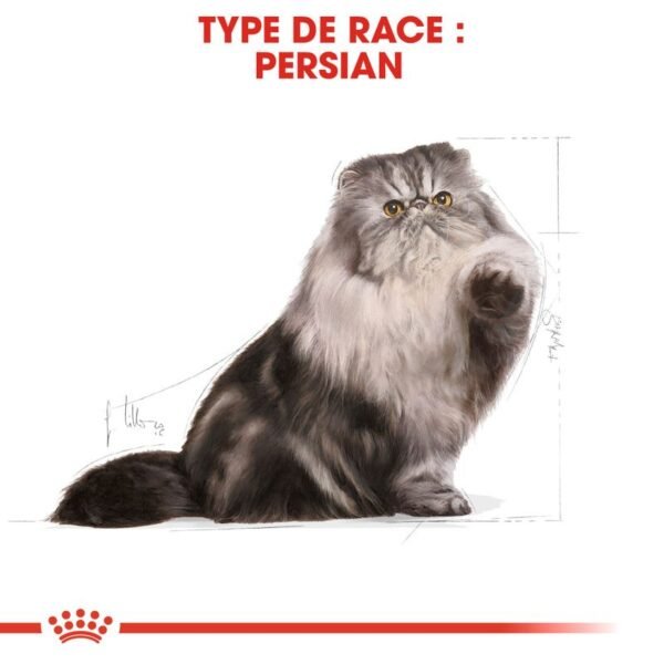 Royal Canin Persan Adult pour chat - Image 6