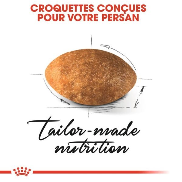 Royal Canin Persan Adult pour chat - Image 4