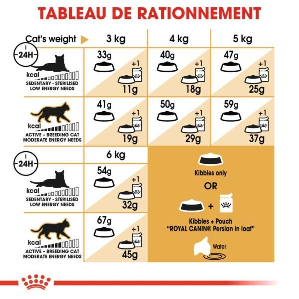 Royal Canin Persan Adult pour chat - Image 5
