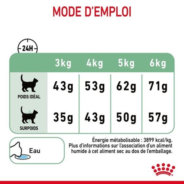 Royal Canin Digestive Care pour chat - Image 6