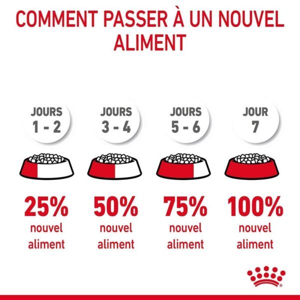 Royal Canin Digestive Care pour chat - Image 7