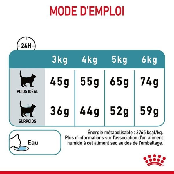 Royal Canin Hairball Care pour chat - Image 4