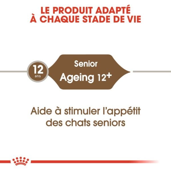 Royal Canin Senior Ageing 12+ pour chat - Image 6
