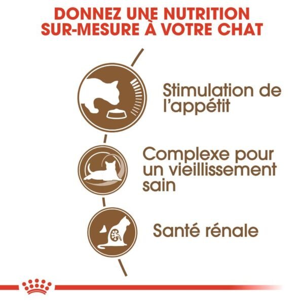 Royal Canin Senior Ageing 12+ pour chat - Image 3