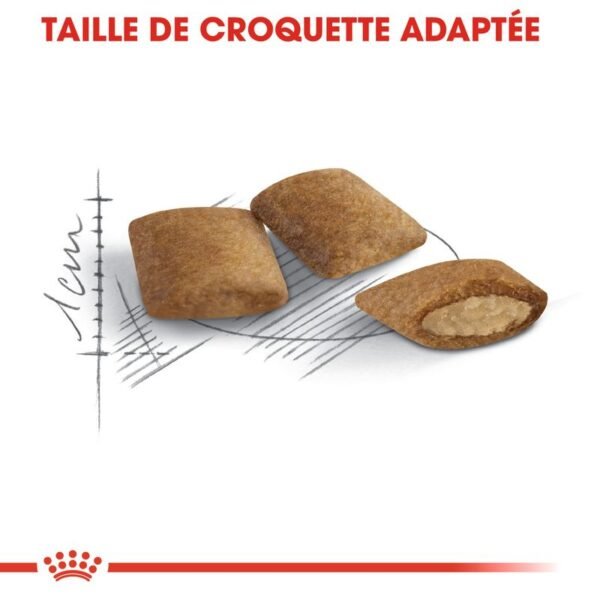 Royal Canin Senior Ageing 12+ pour chat - Image 5