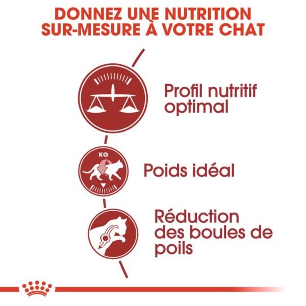 Royal Canin Regular Fit 32 pour chat - Image 2