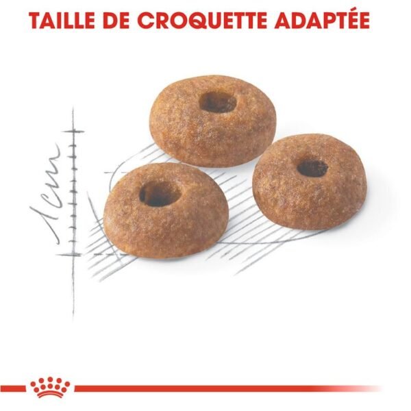 Royal Canin Regular Fit 32 pour chat - Image 4