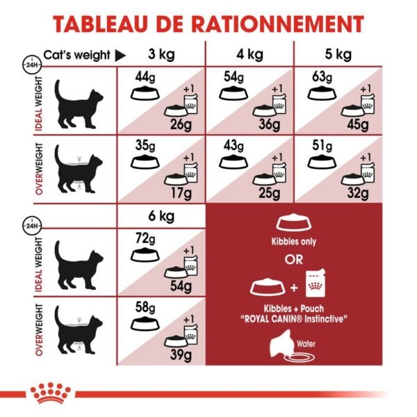 Royal Canin Regular Fit 32 pour chat - Image 6