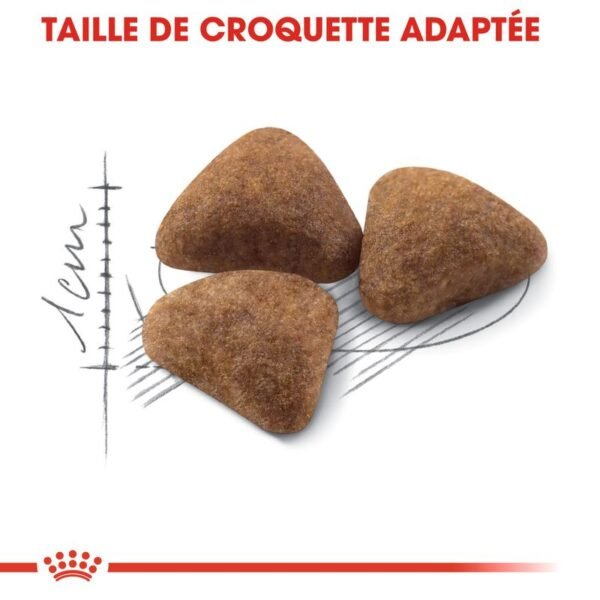 Royal Canin Indoor 27 pour chat - Image 4