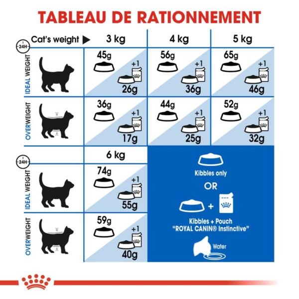 Royal Canin Indoor 27 pour chat - Image 5