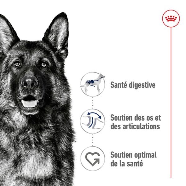 Royal Canin Maxi Adult pour chien - Image 2