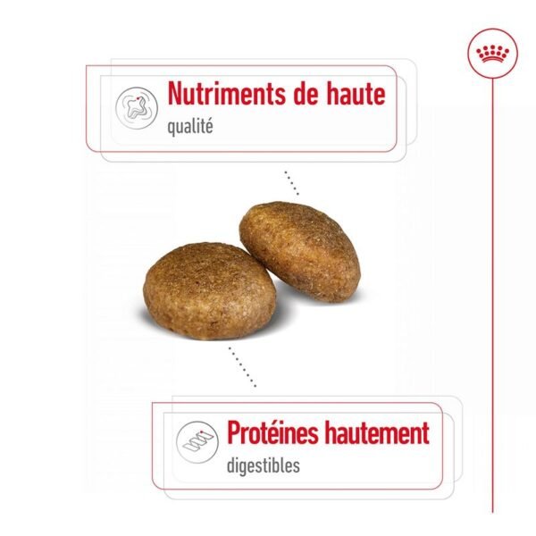 Royal Canin Maxi Adult pour chien - Image 3