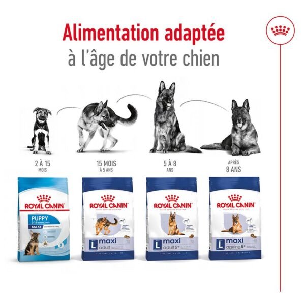 Royal Canin Maxi Adult pour chien - Image 5