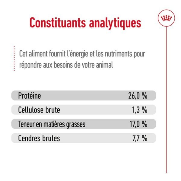 Royal Canin Maxi Adult pour chien - Image 6