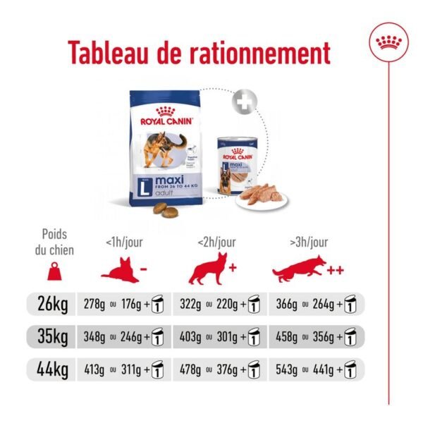 Royal Canin Maxi Adult pour chien - Image 7