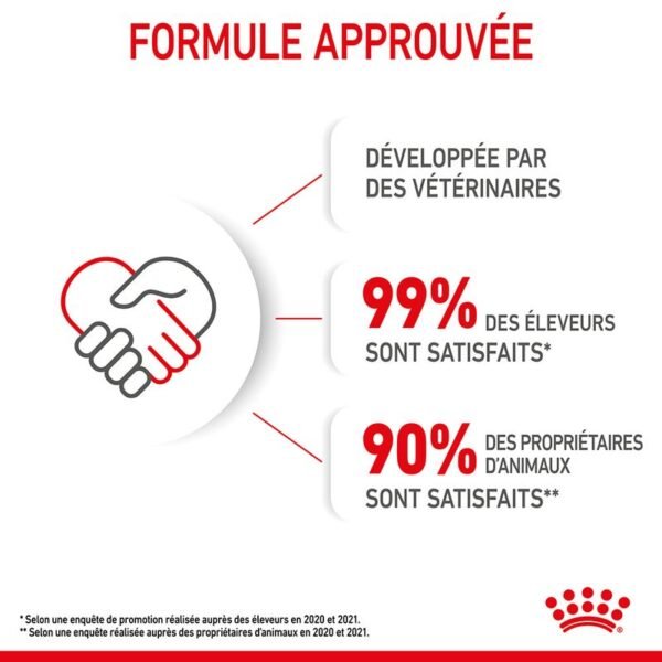 Royal Canin Mother & Babycat pour chatte et chaton - Image 6