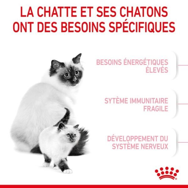 Royal Canin Mother & Babycat pour chatte et chaton - Image 3
