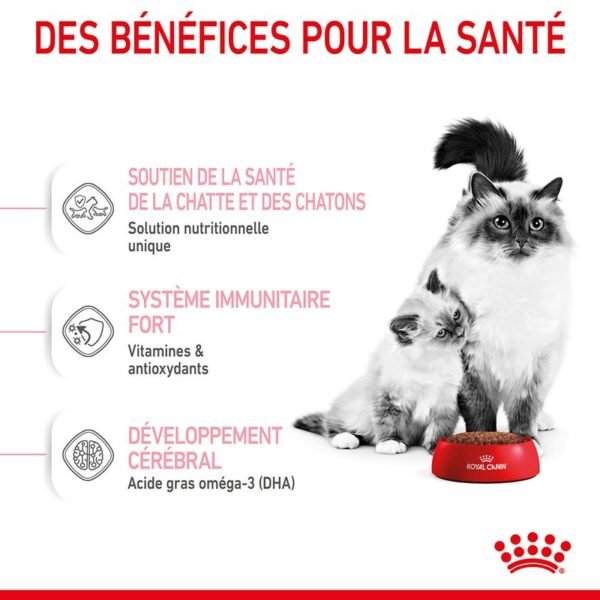 Royal Canin Mother & Babycat pour chatte et chaton - Image 4