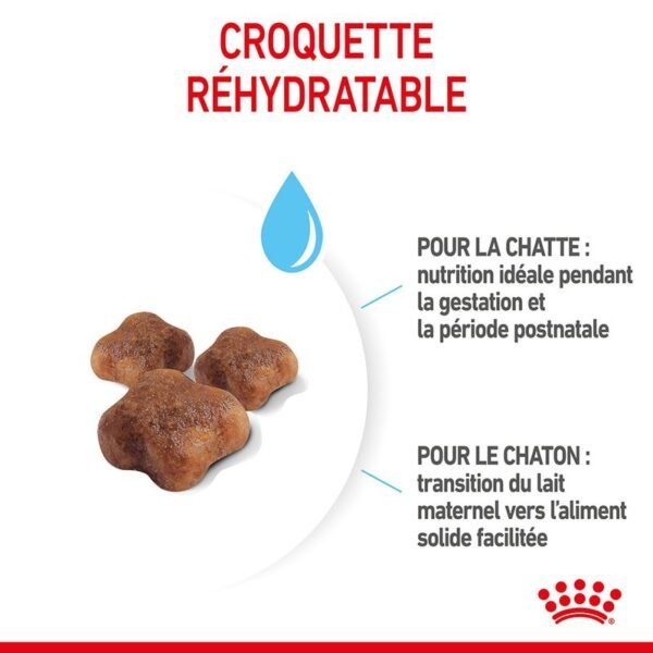 Royal Canin Mother & Babycat pour chatte et chaton - Image 5