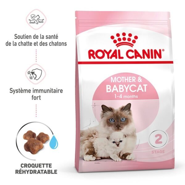 Royal Canin Mother & Babycat pour chatte et chaton - Image 2