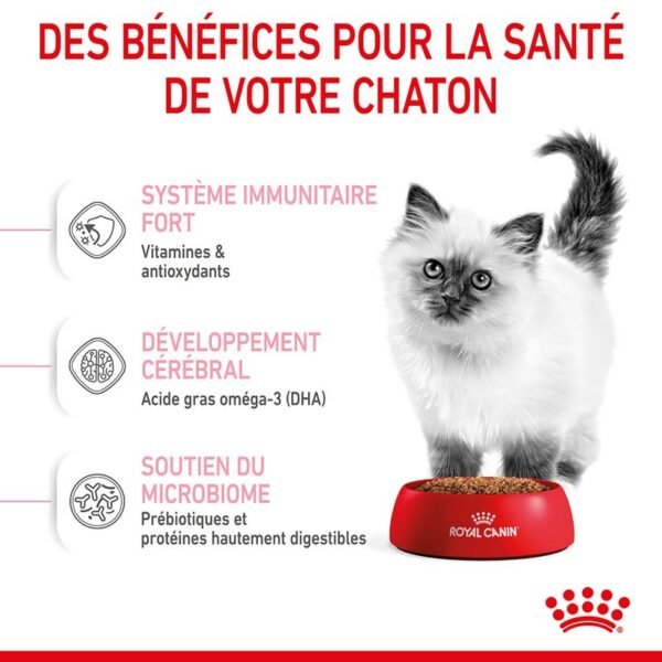 Royal Canin Kitten pour chaton - Image 4