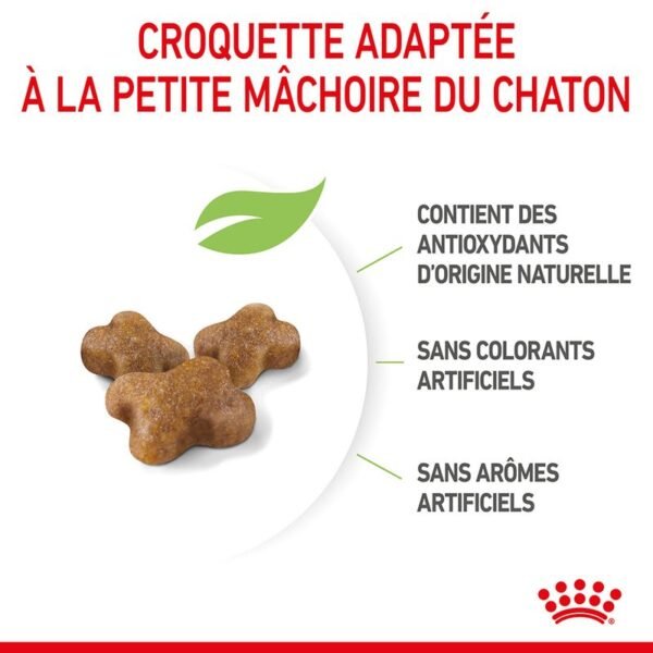 Royal Canin Kitten pour chaton - Image 7