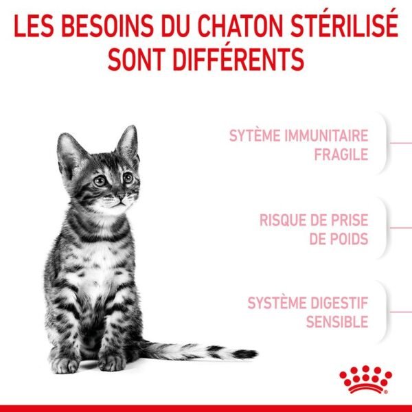 Royal Canin Kitten Sterilised pour chaton - Image 3