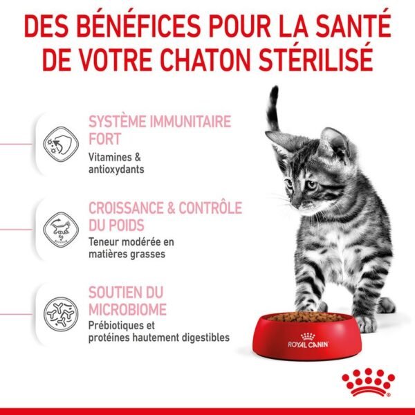 Royal Canin Kitten Sterilised pour chaton - Image 4
