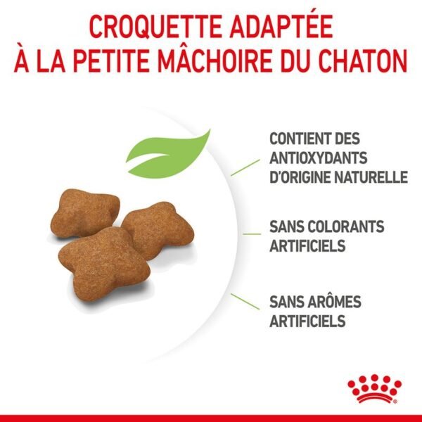 Royal Canin Kitten Sterilised pour chaton - Image 5