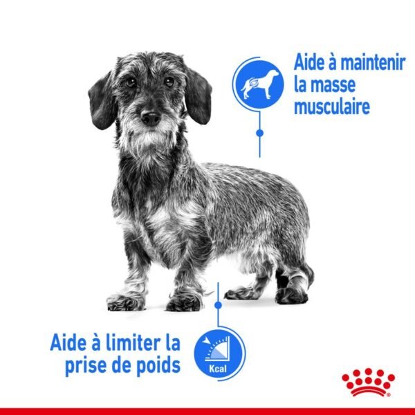 Royal Canin Mini Light Weight Care pour chien - Image 2