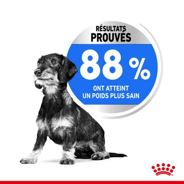 Royal Canin Mini Light Weight Care pour chien - Image 3