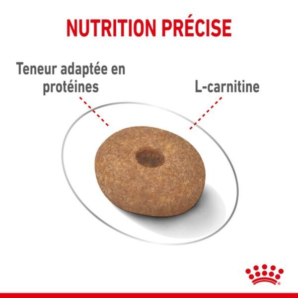Royal Canin Mini Light Weight Care pour chien - Image 4