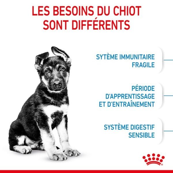 Royal Canin Maxi Puppy pour chiot - Image 4