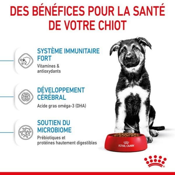 Royal Canin Maxi Puppy pour chiot - Image 3