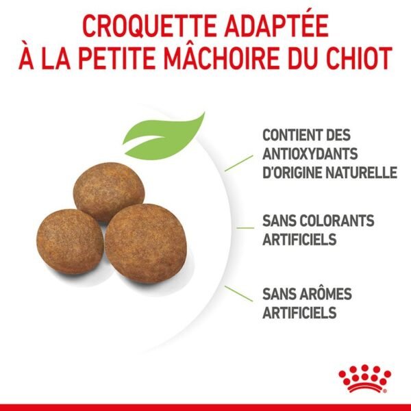 Royal Canin Maxi Puppy pour chiot - Image 5