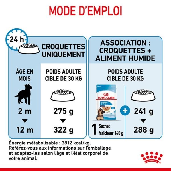 Royal Canin Maxi Puppy pour chiot - Image 6