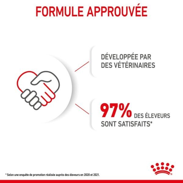 Royal Canin Maxi Starter Mother & Babydog pour chien - Image 7