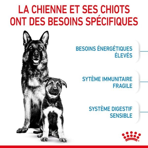 Royal Canin Maxi Starter Mother & Babydog pour chien - Image 3