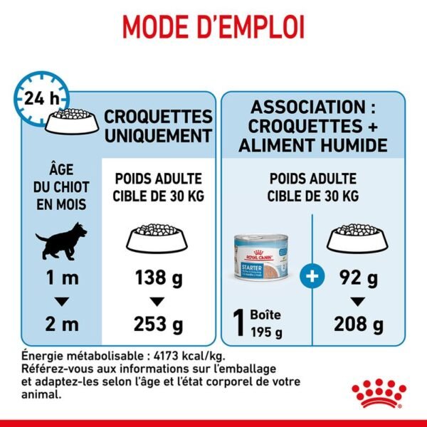 Royal Canin Maxi Starter Mother & Babydog pour chien - Image 9
