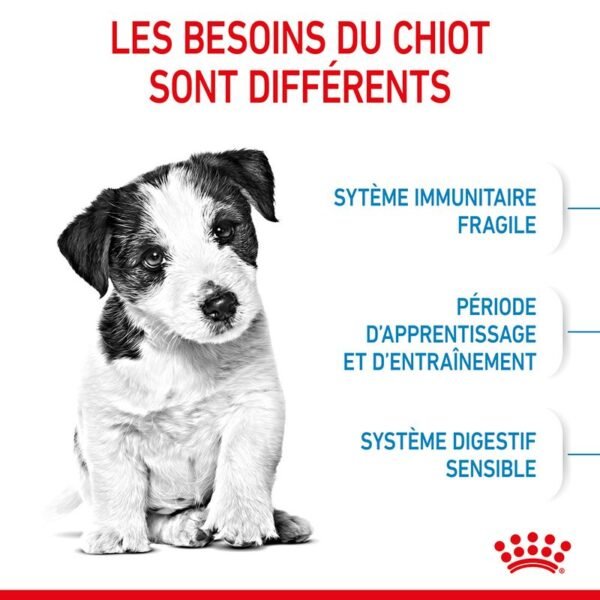 Royal Canin Mini Puppy pour chiot - Image 6