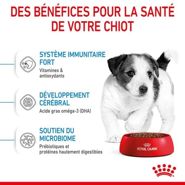 Royal Canin Mini Puppy pour chiot - Image 5