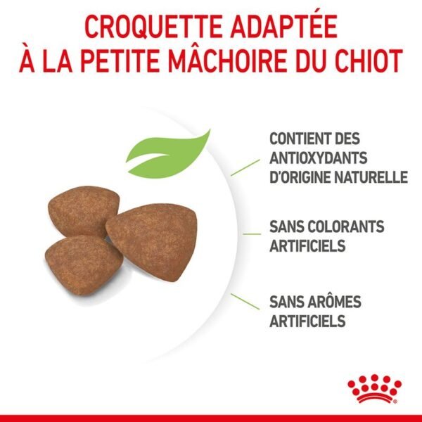 Royal Canin Mini Puppy pour chiot - Image 3