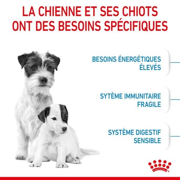 Royal Canin Mini Starter Mother & Babydog pour chien - Image 3