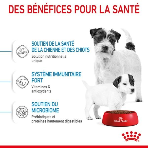 Royal Canin Mini Starter Mother & Babydog pour chien - Image 4