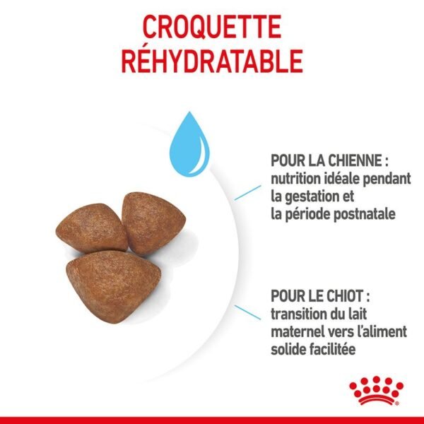 Royal Canin Mini Starter Mother & Babydog pour chien - Image 5