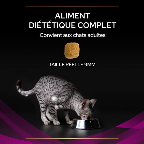 PURINA PRO PLAN Veterinary Diets UR ST/OX Urinary poulet pour chat - Image 5